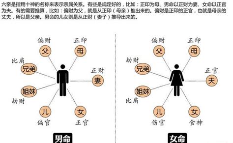 八字 十神|八字算命基础——十神详解